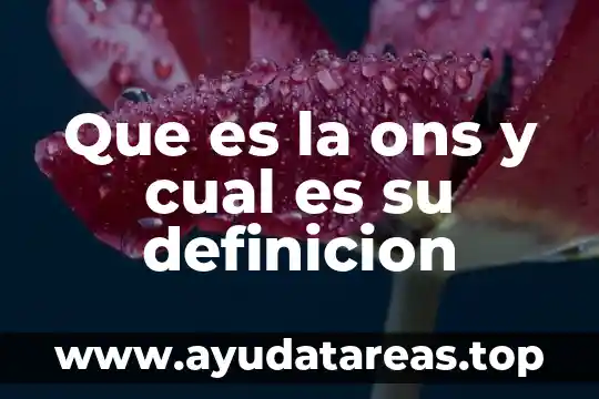 Qué es la química y cuál es su clasificación 5 Que es la ons y cual es su definicion