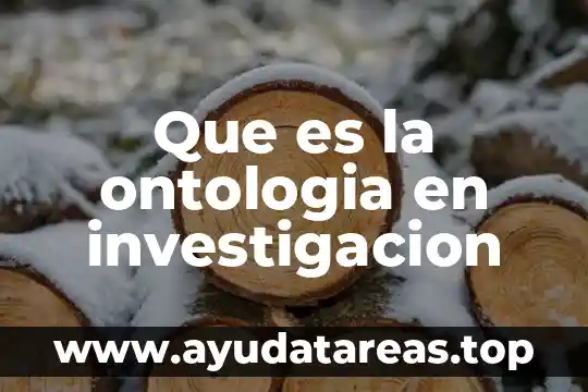 Que es la ontologia en investigacion