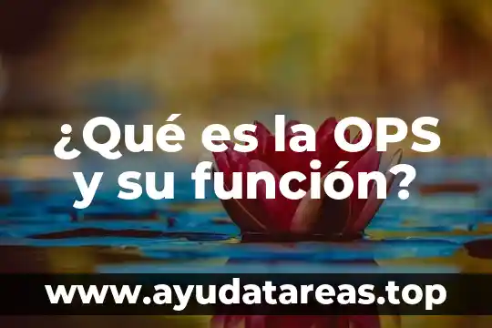 Que es una carta funcion y elementos 7 驴Qu茅 es la OPS y su funci贸n?
