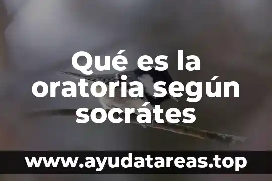 Según Sócrates qué es la filosofía 7 Qué es la oratoria según socrátes