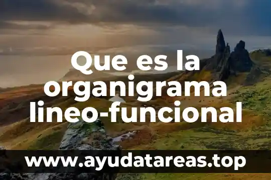 Qué es la estructura organizacional y organigrama diferencias 4 Que es la organigrama lineo-funcional