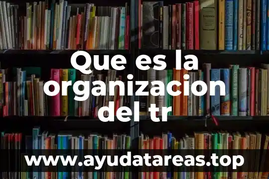 Que es tipos de organizacion 5 Que es la organizacion del tr