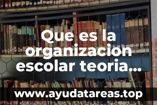 Que es la organizacion escolar teoria de la organizacion