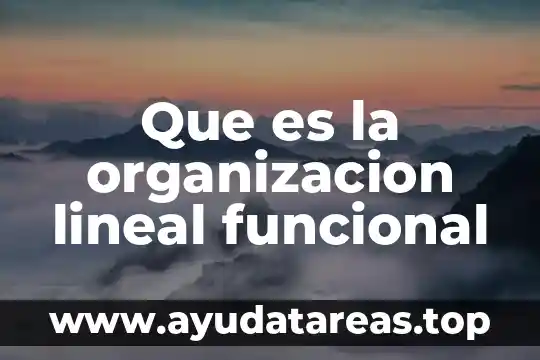Que es la organizacion lineal funcional