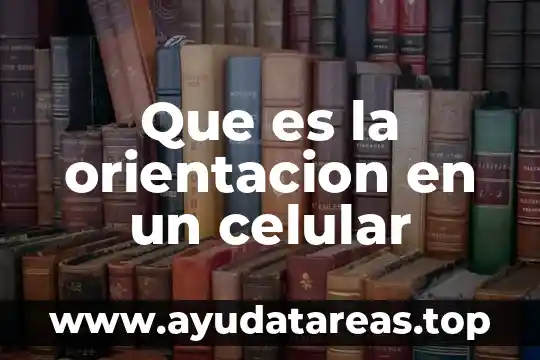 Que es la lisis celular del nucleo 5 Que es la orientacion en un celular