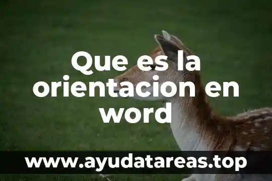 Que es la orientacion en word