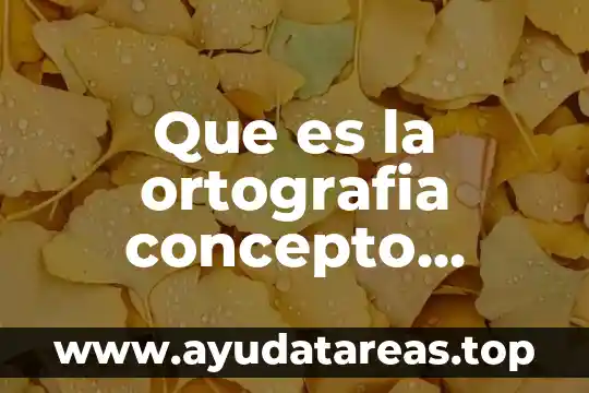 Que es la ortografia concepto basico