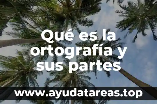 Qué es la ortografía y sus partes