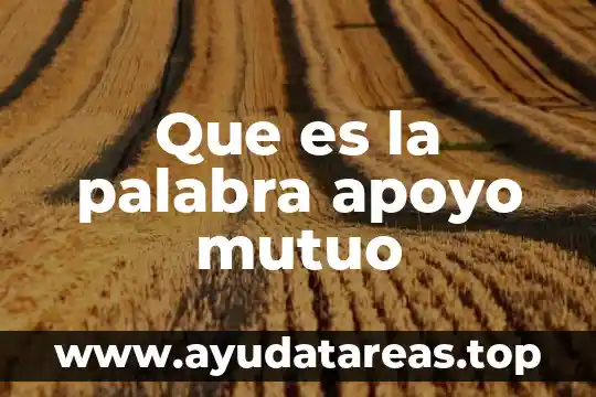 Que es la palabra apoyo mutuo