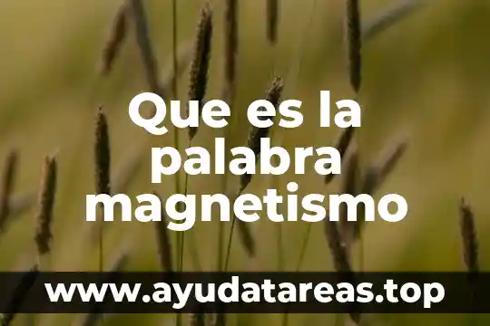 Qué es el magnetismo terrestre significado 6 Que es la palabra magnetismo