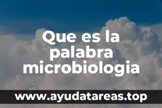 Que es la obesidad i que significa la palabra obesidad 8 Que es la palabra microbiologia