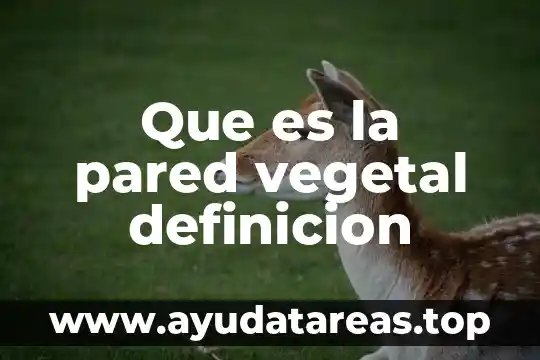 Que es la pared vegetal definicion