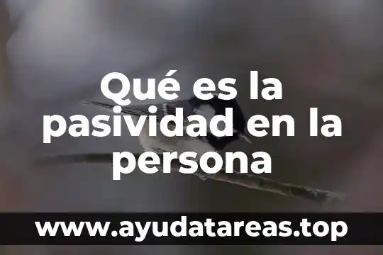 Que es un sobrenombre persona 6 Qué es la pasividad en la persona