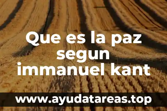Que es la paz segun immanuel kant
