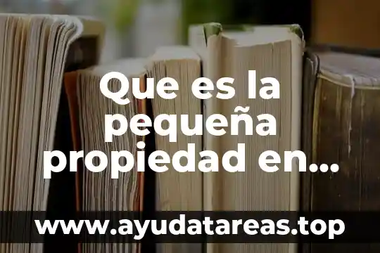 Que es la pequeña propiedad en materia agraria