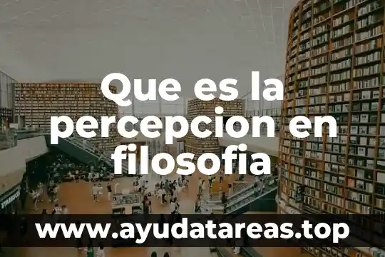 Qué es la filosofía y un filósofo 5 Que es la percepcion en filosofia