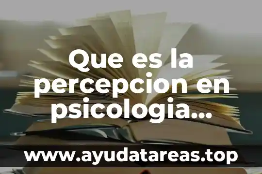 Qué es el vínculo en psicología 5 Que es la percepcion en psicologia cognitiva