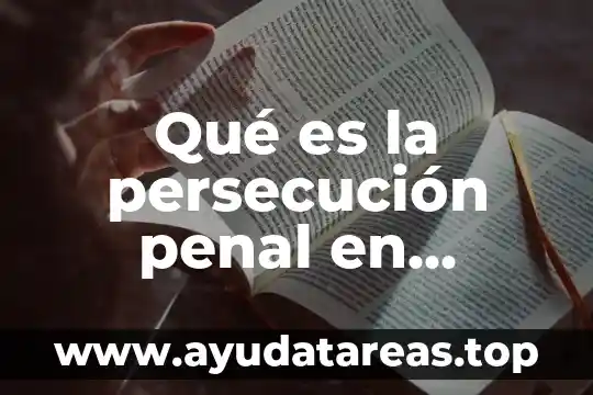 Qué es la persecución penal en México