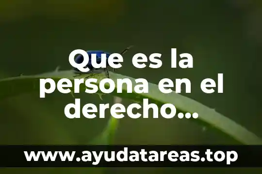 Manifiesto que es ser mexicano 7 Que es la persona en el derecho mexicano