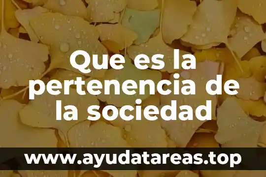 Definición de que es el verdadero amor 7 Que es la pertenencia de la sociedad