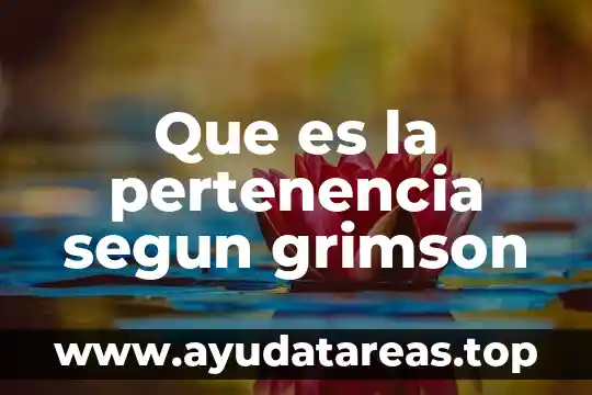 Que es el signo segun barthes 3 Que es la pertenencia segun grimson