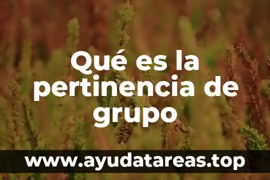 Que es un grupo auditor 4 Qué es la pertinencia de grupo