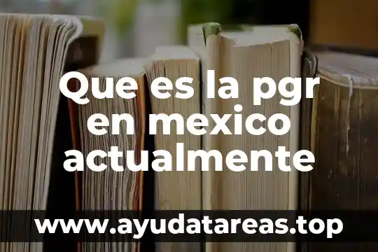 Que es la pgr en mexico actualmente