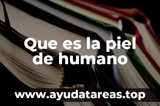Que es mejor la piel o alcántara 8 Que es la piel de humano