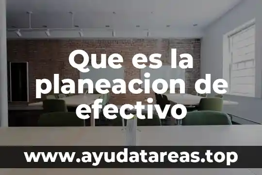 Qué es constructo definición 6 Que es la planeacion de efectivo