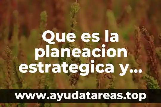 Que es producto en la matriz estrategica 8 Que es la planeacion estrategica y prospectiva en la administracion