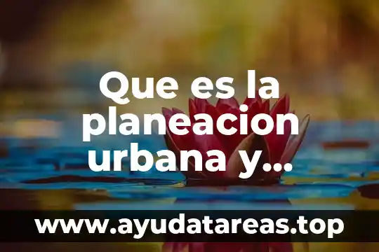 Que es cambios favorables de una planta 5 Que es la planeacion urbana y cambios en el paisaje