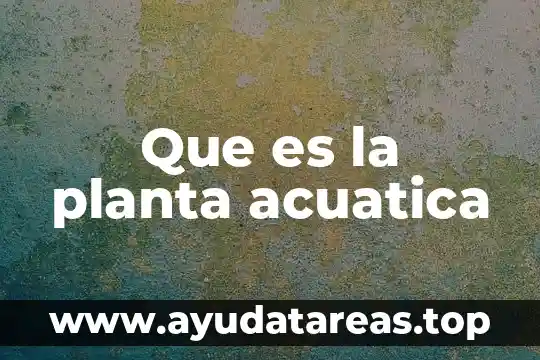 Para que es importante regalar una planta a un niño 4 Que es la planta acuatica