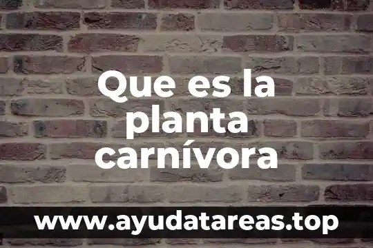 Para que es importante regalar una planta a un niño 8 Que es la planta carnívora