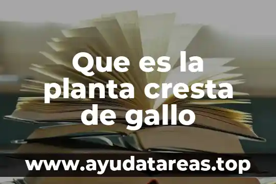 Que es una plaga en una planta 7 Que es la planta cresta de gallo