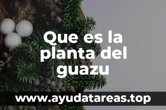 Que es una planta libre en la arquitectura 5 Que es la planta del guazu