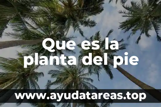 Que significa que es pie mexicano 4 Que es la planta del pie
