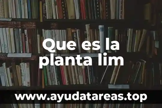 Que es una planta en conjunto 8 Que es la planta lim