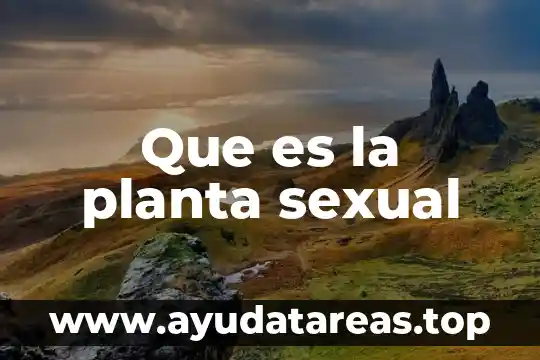 Qué es una planta de emergencia portátil 8 Que es la planta sexual