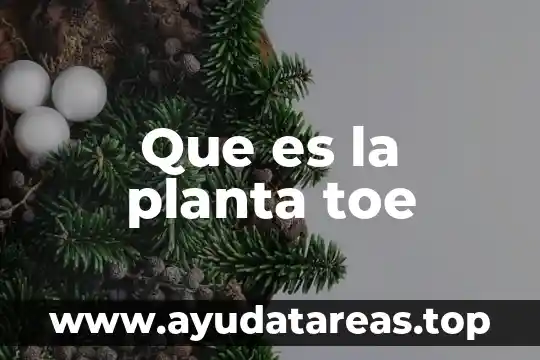 Hierbabuena planta medicinal que es 6 Que es la planta toe