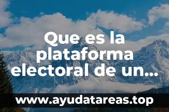 Que es la plataforma electoral de un partido