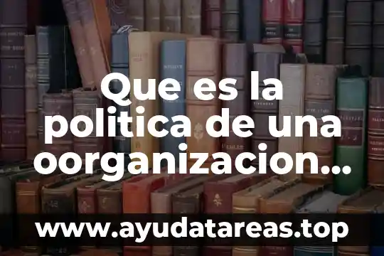 Que es la politica de una oorganizacion segun autores