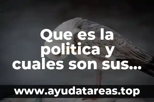 Que es una onda y cuales son sus tipos 3 Que es la politica y cuales son sus funciones