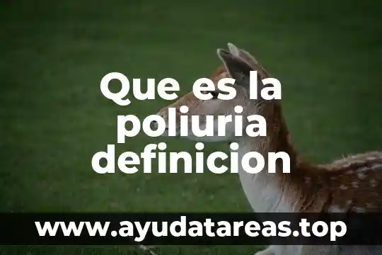 Qué es la imantación en química definición 7 Que es la poliuria definicion