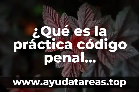 Que es el principio de definitividad procesal 7 ¿Qué es la práctica código penal constitucional procesal?
