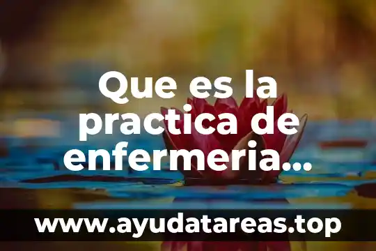 Que es la practica de enfermeria definicion