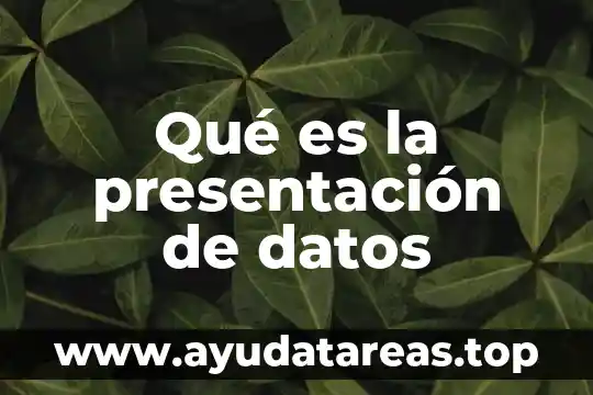 Qué es la presentación de datos