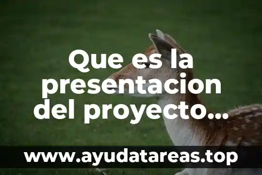 Que es la presentacion del proyecto creativo