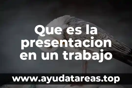 Que es la presentacion en un trabajo
