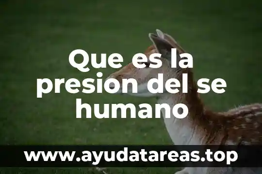 Que es la presion del se humano