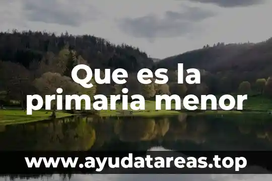 Que es una gotera de agua 4 Que es la primaria menor